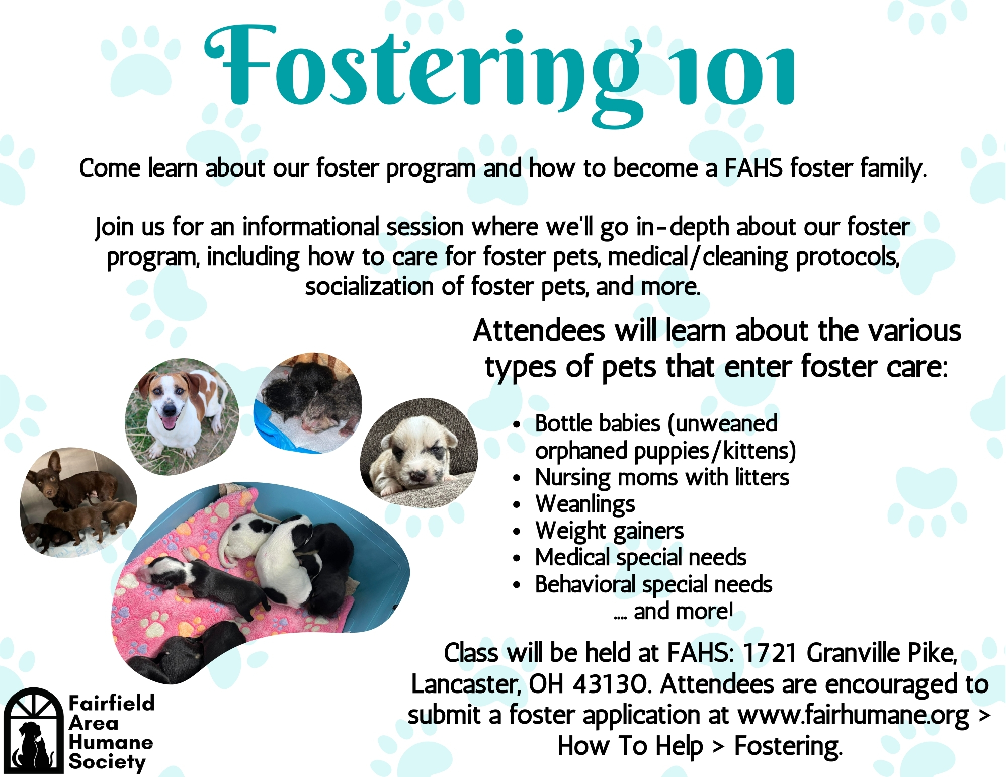 Fostering 101 Fostering 101 ad