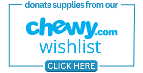 fahs chewy