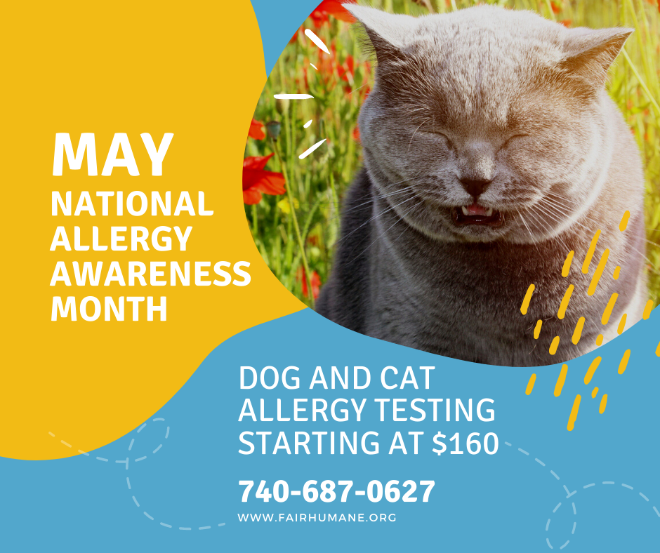 May is National Allergy Awareness Month dog and cat allergy testing starting at $160 ad