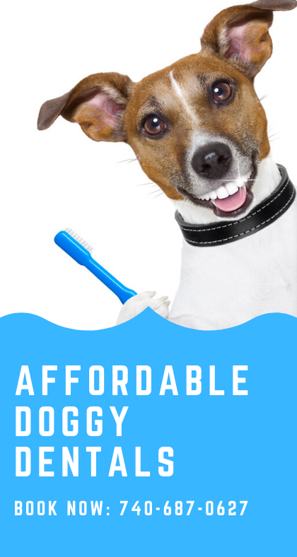dental Ad