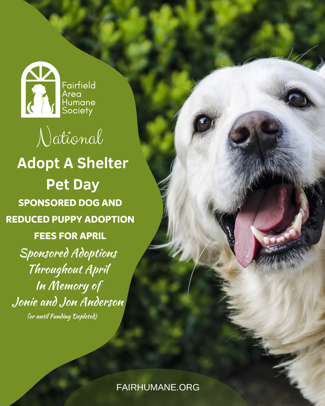 sponsored dog and reduced puppy adoption april ad