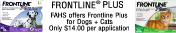 frontline plus special rate ""