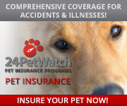 pet watch logo