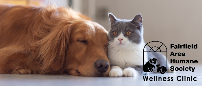 wellness clinic fairfield area humane society dog and cat laying on floor